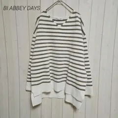 タグ付き BI ABBEY DAYS Vネック ボーダーニット 薄手 LL