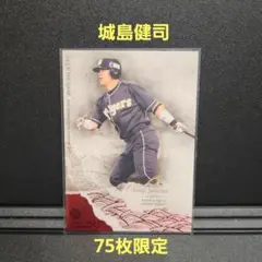 BBM2011 阪神 75枚限定 城島健司1