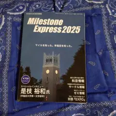 2026年最新】milestone express 2025の人気アイテム - メルカリ