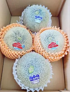 ◎タカミレッド+タカミ❪一番果❫約5キロ程度(箱込み)農家直送即購入大歓迎　赤肉 タカミレッド❪一番果❫約5キロ程度(箱込み)農家直送即購入大歓迎 赤肉