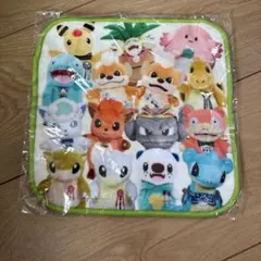 ポケモンローカルActs ミニタオル 物産展
