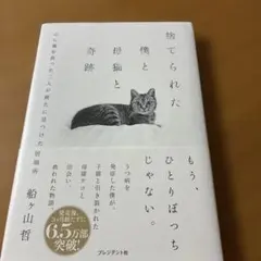 捨てられた僕と母猫と奇跡 : 心に傷を負った二人が新たに見つけた居場所