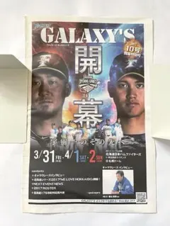 大谷翔平 日本ハムファイターズ 2016年オフィシャルカレンダー 大谷