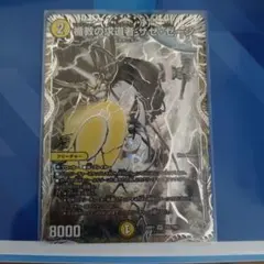 盾教の求道者ザゼ・ゼーン　銀