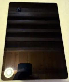 iPad 第9世代 シルバー 64GB WiFiモデル ライトニング付き