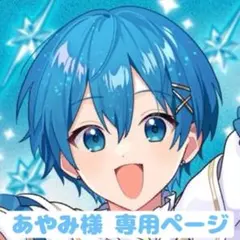 あやみ様 専用ページ