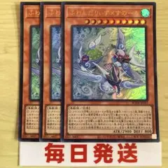 遊戯王　ふわんだりぃず×すのーる ウルトラ 3枚　ピヴォ