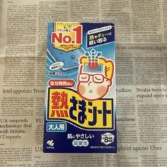 Item thumbnail for item 1af5476e-f115-4de2-8203-8b843b4193fc