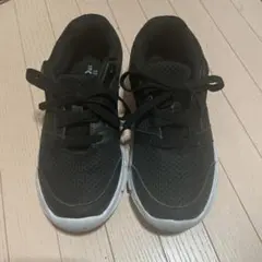 Item thumbnail for item d3fee14c-b597-4910-932b-5188ec45b17e