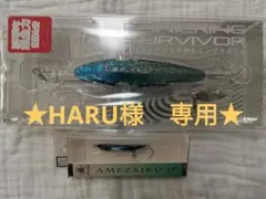 2025年最新】サバイバー ジグの人気アイテム - メルカリ