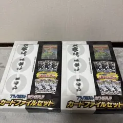 ブラックボルト・ホワイトフレア カードファイルセット 2セット　ビクティニ　P