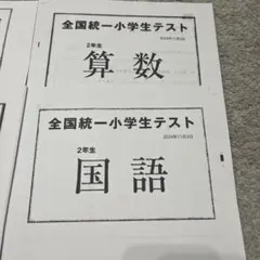 全国統一小学生テスト