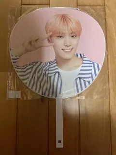 SEVENTEEN CARATCAMP ディノ　うちわ