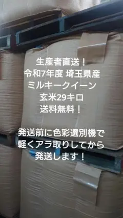 令和7年度 埼玉県産⭐ミルキークイーン⭐玄米29キロ 送料無料のサムネイル