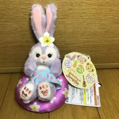 ディズニー ダッフィー ステラルー ③ ぬいぐるみストラップ 浮輪 サニーファン
