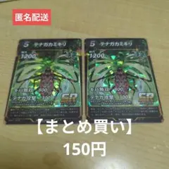 2025年最新】テナガカミキリの人気アイテム - メルカリ