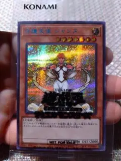 ブルシク