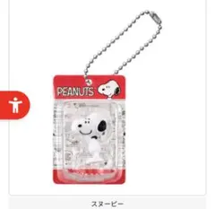 PEANUTS パッケージミニチュアコレクション