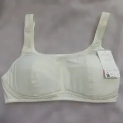 Wing Teen ジュニアブラ Mサイズ