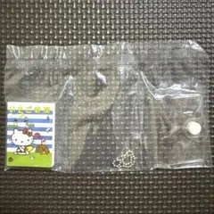サンリオ いちご新聞 ミニチュアチャーム 2種セット