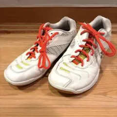 2026年最新】バドミントン シューズ パワー クッション 66の人気