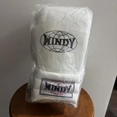 WINDY グローブ　16オンスのサムネイル