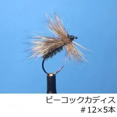 イイダサトシ様 リクエスト 4点 まとめ商品
