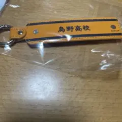 【ハイキュー!!】カスタムチャーム 烏野 andSTコラボ Me%