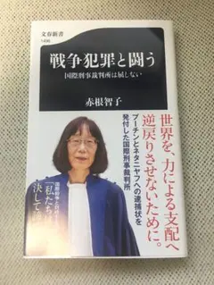 戦争犯罪と闘う 国際刑事裁判所は屈しない　赤根智子