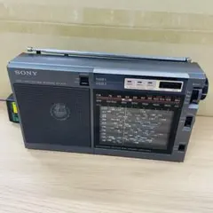 SON ICF-EX5 ラジオ ソニーFM/ラジオNIKKEI/AMポータブルラジオ ICF-EX5～その1：電源の