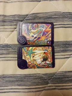 ポケモンフレンダ・ソルガレオ&ルナアーラのセット