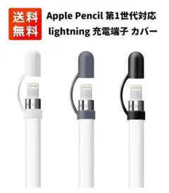 Apple Pencil lightning カバー 3個 ミックス E411