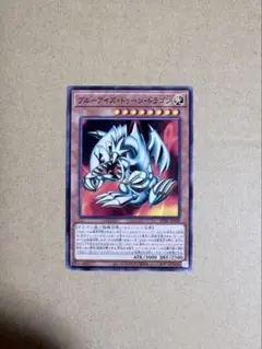 ブルーアイズ・トゥーン・ドラゴン 遊戯王 中島健人