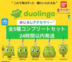 duolingo めじるしアクセサリー　ガチャ　全5種コンプリートセット