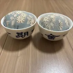 針刺し　2つ