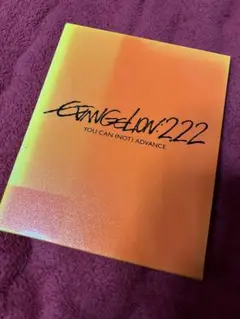 EVANGELION:2.22 YOU CAN (NOT) ADVANCE.