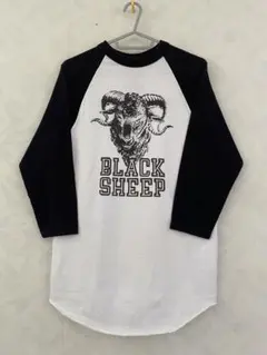 Item thumbnail for item 5b164b9b-8417-412f-a841-8f34f57ee664