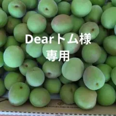 5月5日収穫 山梨県産 青梅 3kg 無農薬 化成肥料なし - メルカリ