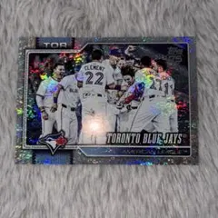 Item thumbnail for item 5154a34c-6a17-4ddc-b3a5-b8d686d42822