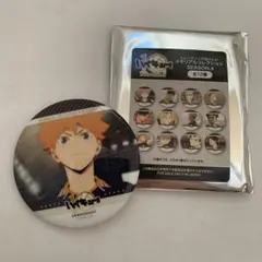 ハイキュー!! 日向翔陽 缶バッジ