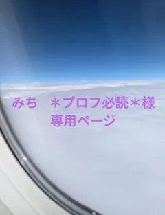 みち ＊プロフ必読＊様専用ページ