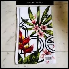 Item thumbnail for item 3e6ee237-0066-48e1-9a65-b2c0a355f9fd