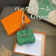 チャーム ストラップ ミニ 小物入れ AirPods リップケース グリーン
