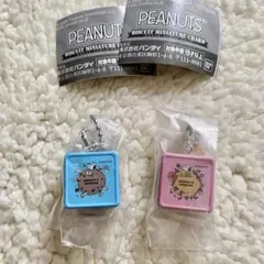 【新品・未開封】PEANUTS スヌーピー ビスケットミニチュアチャーム　２個