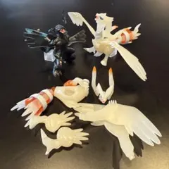 立体ポケモン図鑑　ゼクロム　レシラム　クリアバージョン 立体ポケモン図鑑】レシラム・ゼクロム(クリアバージョン) - メルカリ