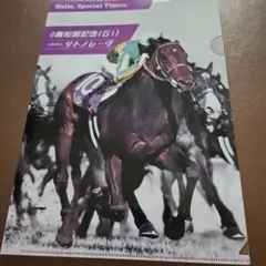 高松宮記念 サトノレーヴ クリアファイル 中京競馬場のサムネイル