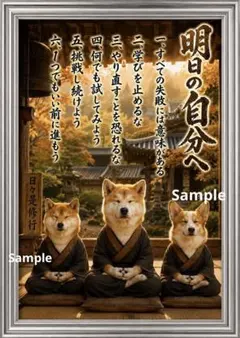 明日の自分へ｜柴犬・秋田犬・コーギーの坐禅修行 前向きな言葉 癒しの筆文字アート