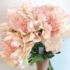 Item thumbnail for item 2ad43bf5-6448-49ad-bb34-61f42e171df6