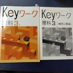 2026年最新】早稲アカKeyワークの人気アイテム - メルカリ