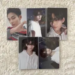 ニキ 宵 トレカセット